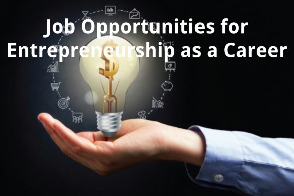 job opportunities for entrepreneurship as a career