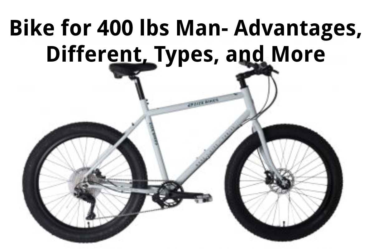 bike that can hold 300 lbs