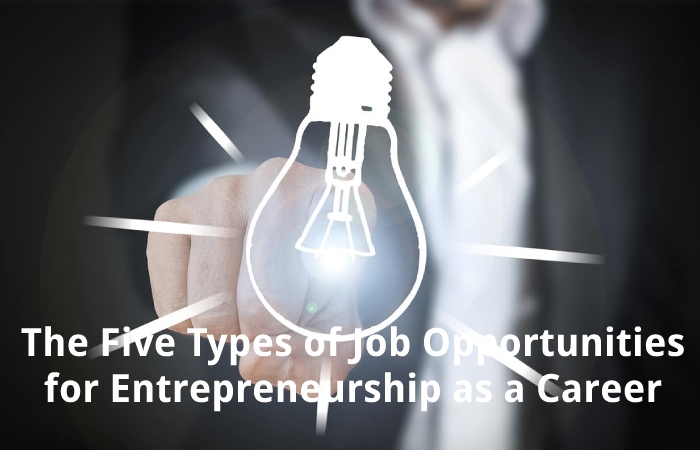 The Five Types of Job Opportunities for Entrepreneurship as a Career: