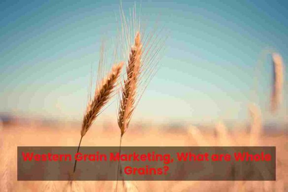 Western Grain Marketing, What are Whole Grains?