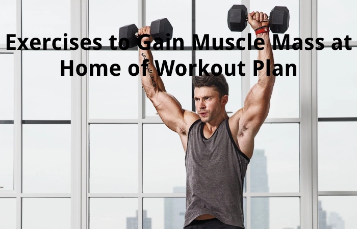 Exercises to Gain Muscle Mass at Home of Workout Plan