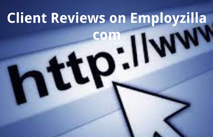 Client Reviews on Employzilla com