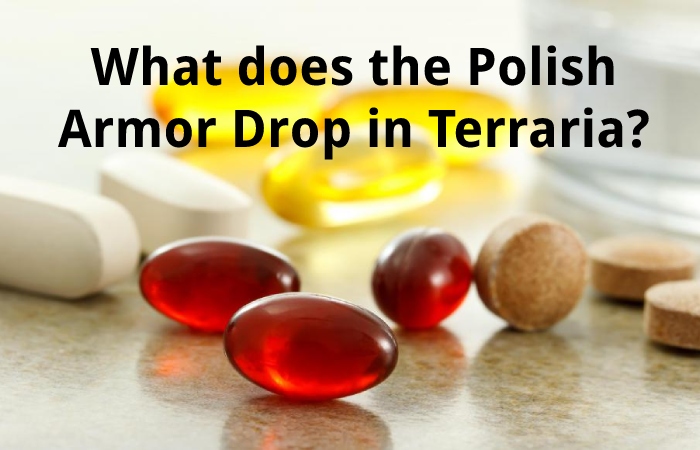 What does the Polish Armor Drop in Terraria?