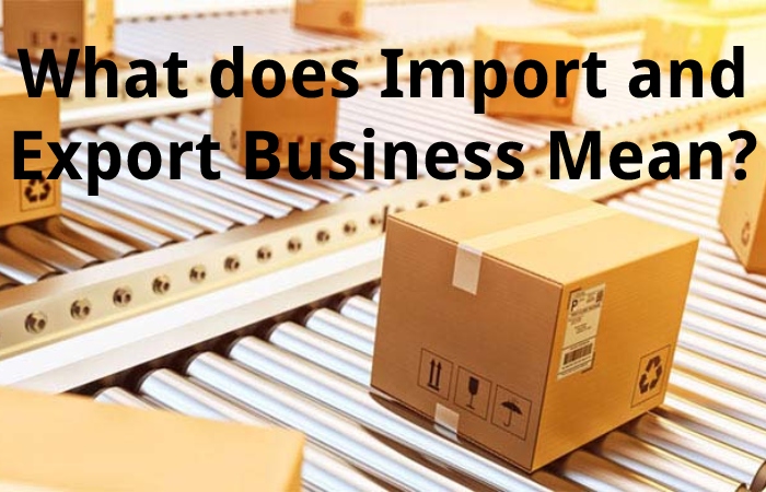 What does Import and Export Business Mean?