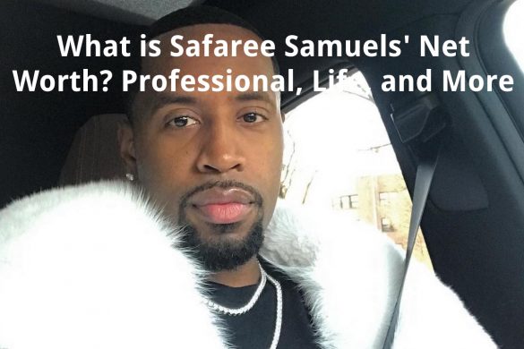 safaree samuels net worth