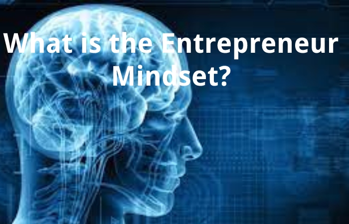 What is the Entrepreneur Mindset?