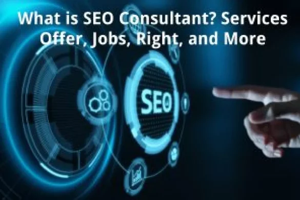 seo consultant